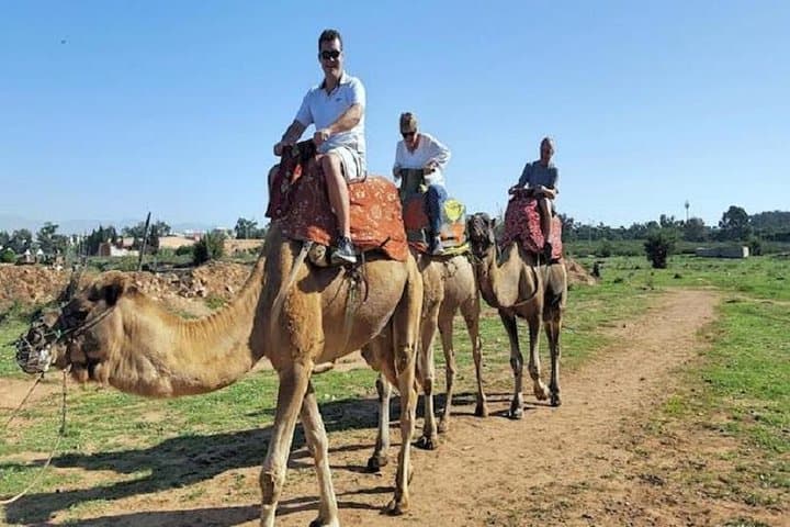 Camel Riding in Agadir: Eucalyptus Trails and Souss River Dune Rides photo 5