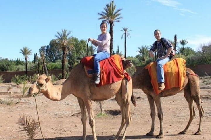 Camel Riding in Agadir: Eucalyptus Trails and Souss River Dune Rides photo 6