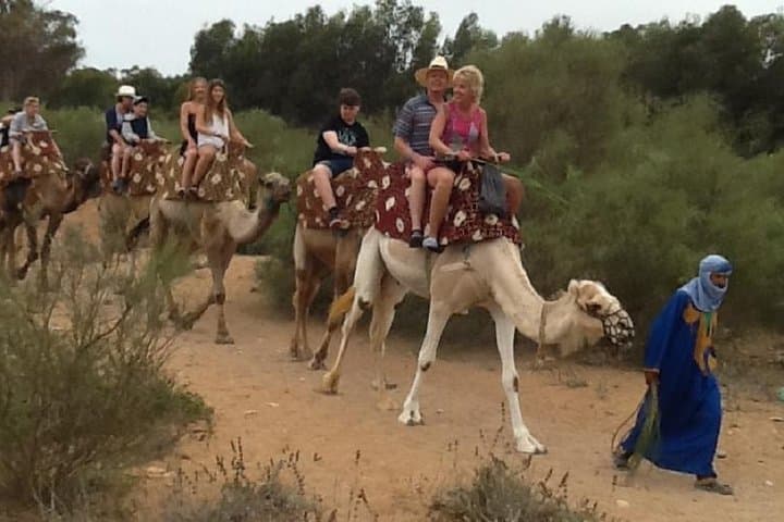 Camel Riding in Agadir: Eucalyptus Trails and Souss River Dune Rides