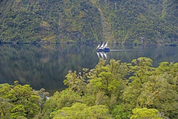 Doubtful Sound Overnight Cruise & Te Anau Glowworm Caves — 3-Day Wilderness Escape photo 6