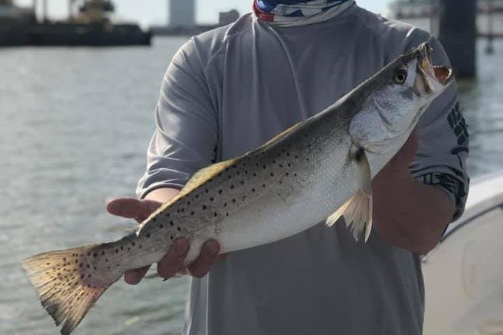 Half-Day Jetty Fishing Trip from Galveston: Four-Hour Charters on the North & South Jetties photo 4