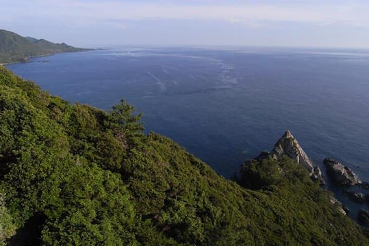 Full-Day Yakushima Walking Tour — Ancient Cedars, Waterfalls & Coastal Winds photo 2