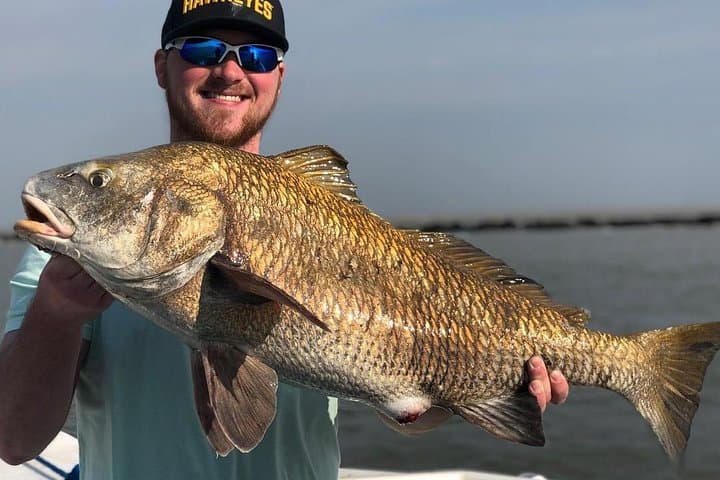 Full-Day Galveston Jetty Fishing Charter — Offshore Picks & Practical Tips