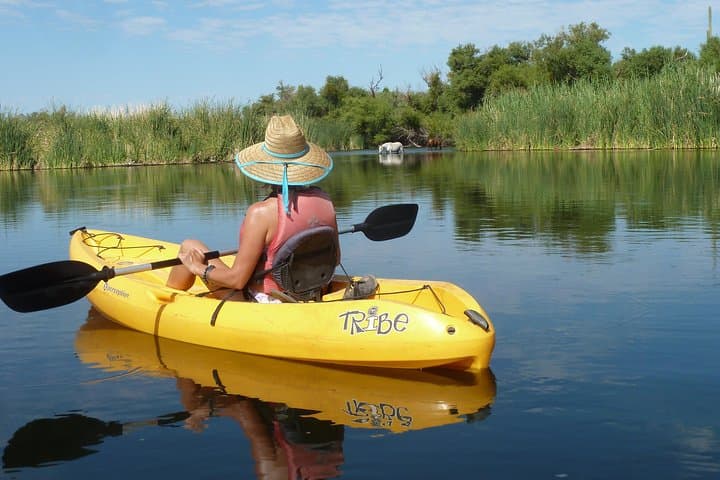 Salt River Foxtail Kayak Trip: Unguided 5-Mile Paddle from Saguaro Lake photo 3