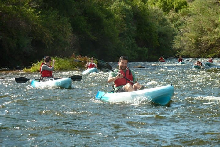 Salt River Foxtail Kayak Trip: Unguided 5-Mile Paddle from Saguaro Lake photo 6