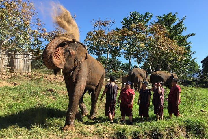 5-Day Tuk Tuk Adventure from Chiang Mai to Doi Inthanon photo 3