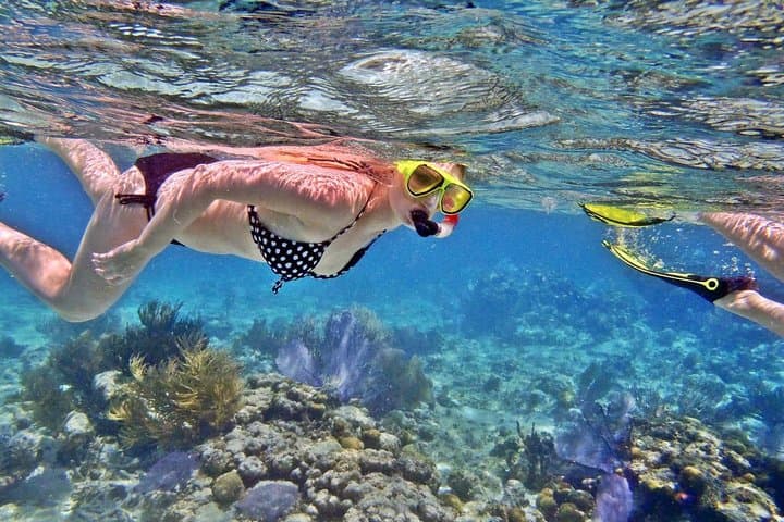 Tanjung Benoa Snorkeling, Flying Fish & Banana Boat — 3‑Hour Bali Ocean Rush photo 1