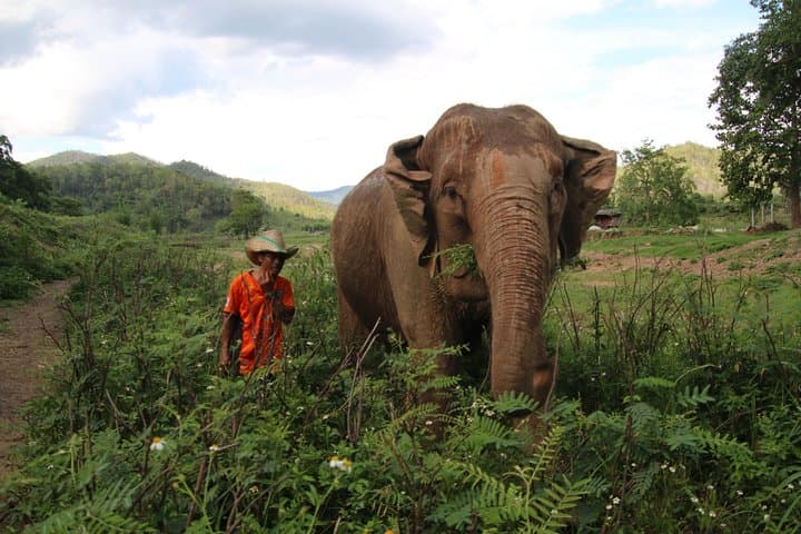 11-Day Tuk Tuk Adventure in Northern Thailand — Doi Inthanon, Mae Hong Son & Hill Tribe Trails photo 3