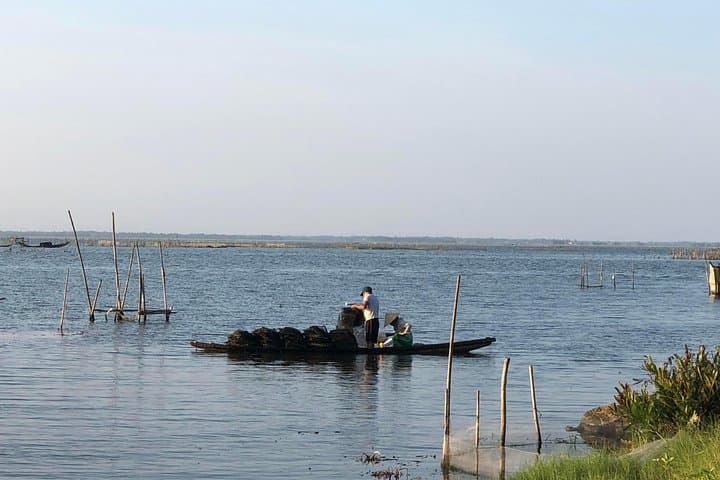 Hue to Hoi An Private Car via Hai Van Pass: Scenic One-Way Sightseeing photo 6