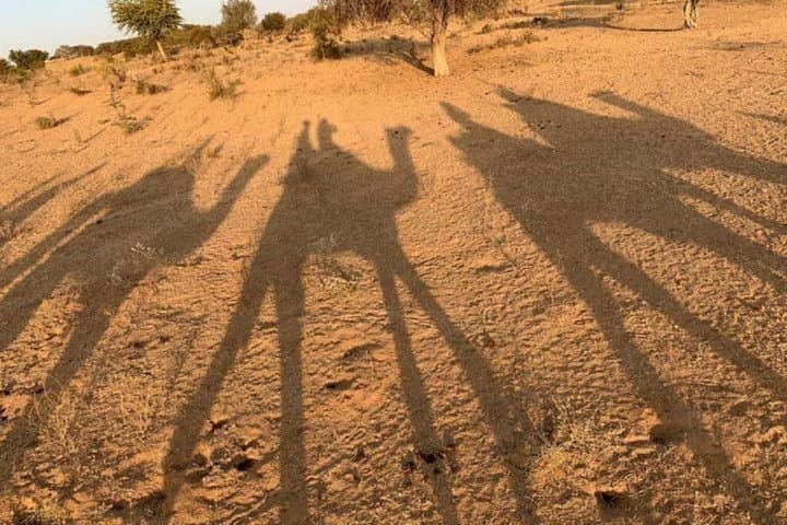 Sunset Camel Safari from Jodhpur — Osian Thar Desert Day Trip photo 4