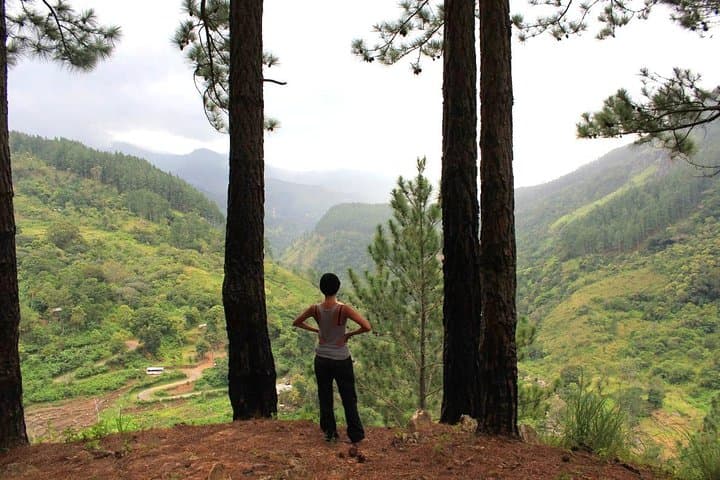 Trek to Bambarakanda Falls: Sri Lanka's Highest Waterfall Day Hike photo 4