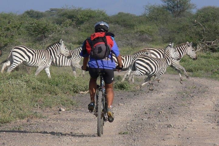 West Kilimanjaro Cycling Adventures: Bike, Camp & Wildlife Near Mount Kilimanjaro photo 3