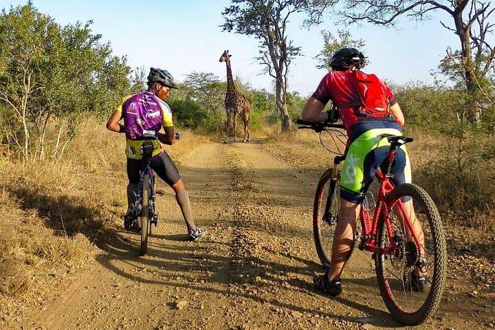 West Kilimanjaro Cycling Adventures: Bike, Camp & Wildlife Near Mount Kilimanjaro photo 4