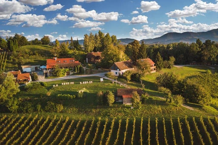 Vuglec Breg Winery Tour from Zagreb: Vineyard Walks & Classic-Method Sparkling