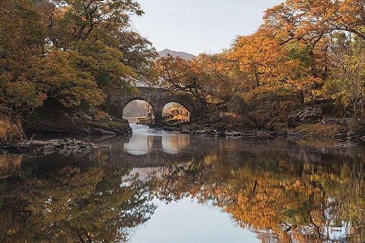 Meeting of the Waters Boat Tour — Dinis Island & Lakes of Killarney (90 min)
