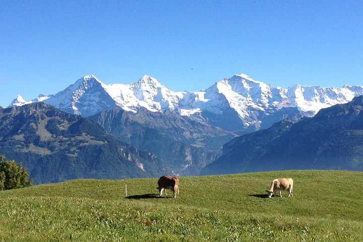 Private Interlaken & Jungfrau Day Tour — Customized Lake Brienz, Lauterbrunnen & Waterfalls photo 3