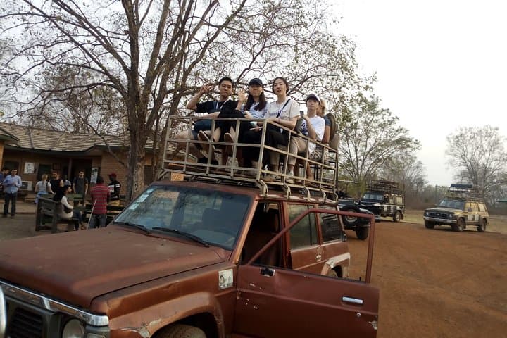Day Safari from Tamale to Mole National Park — Game Drives, Village Walks & Canoe Safari photo 2