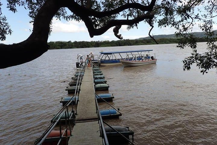Tempisque River Wetlands: Palo Verde National Park Boat Safari, Costa Rica photo 2