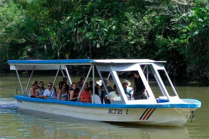 Tempisque River Wetlands: Palo Verde National Park Boat Safari, Costa Rica photo 3