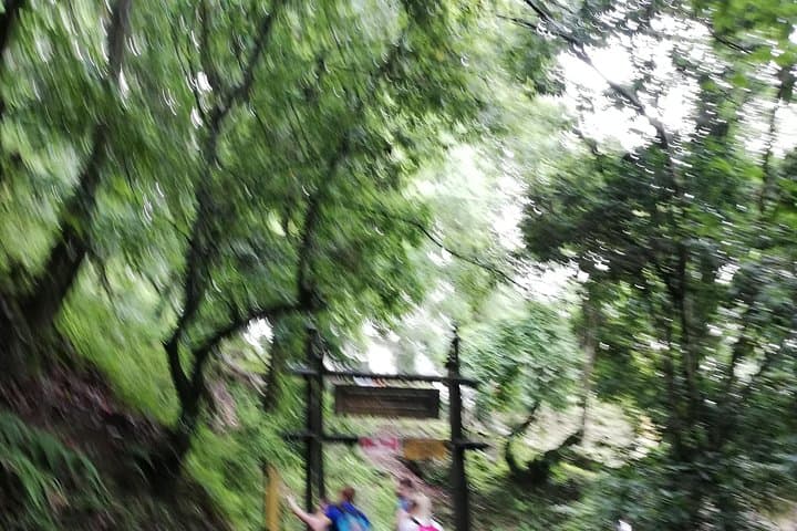 Nagarkot Sunrise Day Hike from Kathmandu — Changu Narayan Temple Walk photo 3