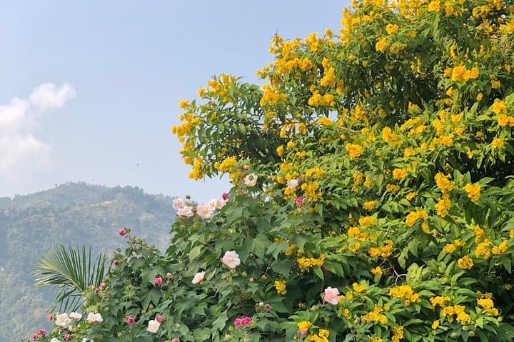 Nagarkot Sunrise Day Hike from Kathmandu — Changu Narayan Temple Walk photo 4