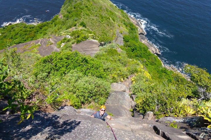 Hike Sugarloaf Mountain: Guided Climb & Atlantic Forest Trail in Rio de Janeiro