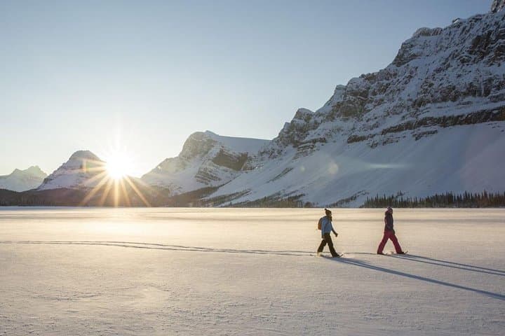 Eco-Friendly Snowshoeing & Tesla Sightseeing on Tromsø Island