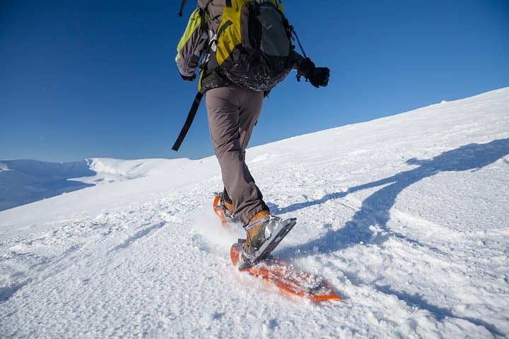 Eco-Friendly Snowshoeing & Tesla Sightseeing on Tromsø Island photo 3