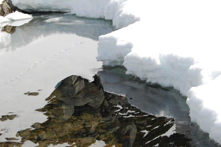 Eco-Friendly Snowshoeing & Tesla Sightseeing on Tromsø Island photo 6