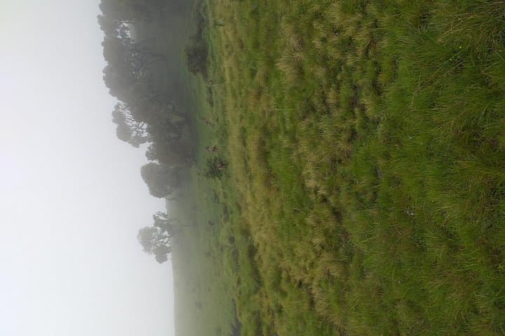 4-Day Simien Mountains Trek: Sankaber to Buwahit Peak (Ethiopia) photo 4