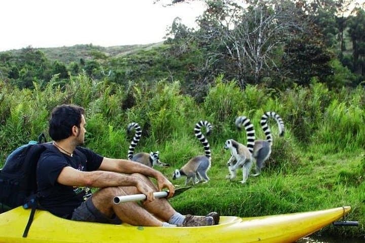 Analamazaotra & Ankanin'ny Nofy: A 5-Day Lemur and Palmarium Adventure photo 3