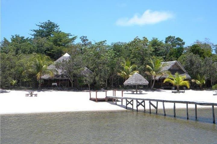 Analamazaotra & Ankanin'ny Nofy: A 5-Day Lemur and Palmarium Adventure photo 4