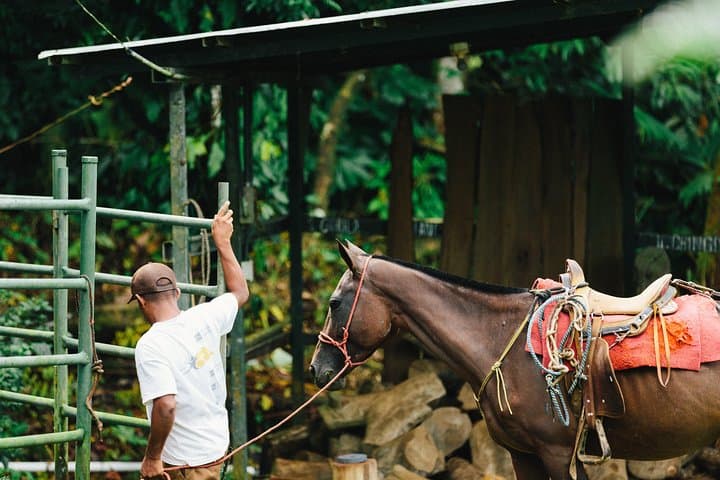 Horseback Riding to Tocori Waterfalls from Manuel Antonio photo 4