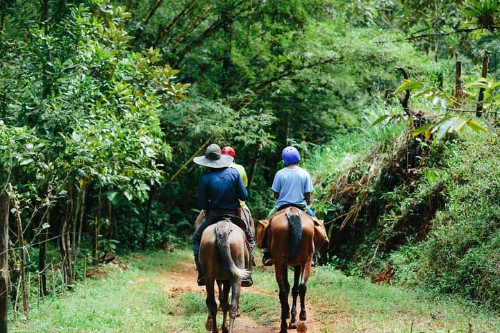 Horseback Riding to Tocori Waterfalls from Manuel Antonio