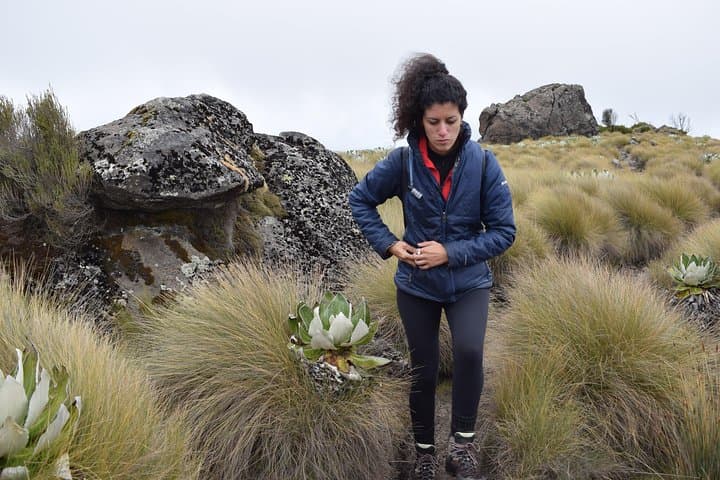 Summit Mount Kenya via Naro Moru: 4-Day Trek to Point Lenana photo 5