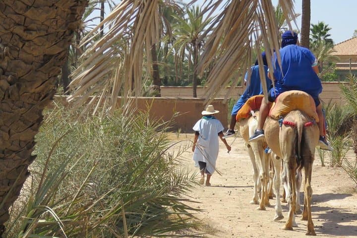Palmeraie Adventure: Half-Day Camel Ride and Quad Biking in Marrakech photo 4