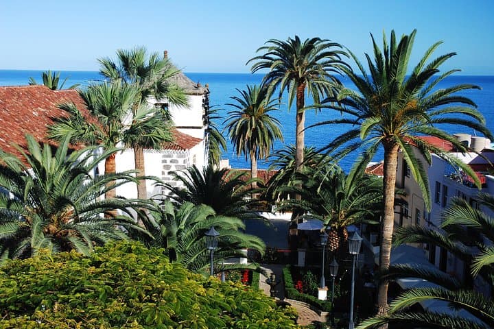 La Palma North Route Scenic Drive: Miradors, Los Tilos & Coastal Pools photo 6