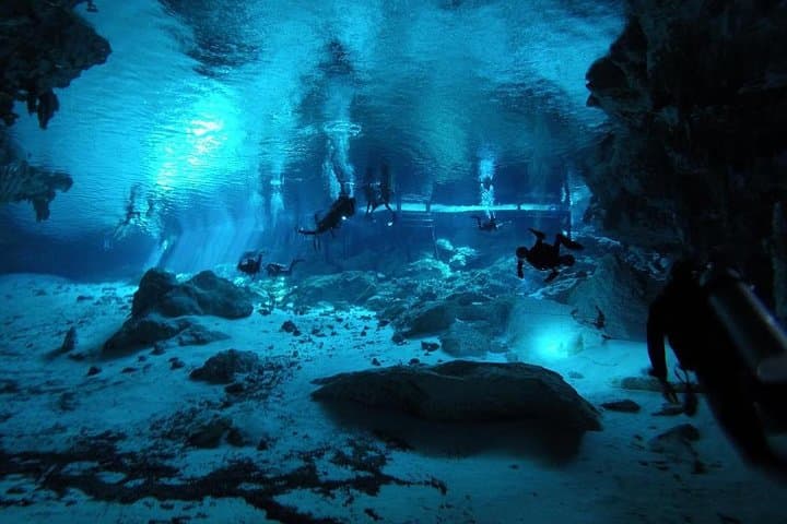 Dos Ojos Cenote Cavern Dive: Barbie Line & Bat Cave — Tulum’s Underwater Cathedral