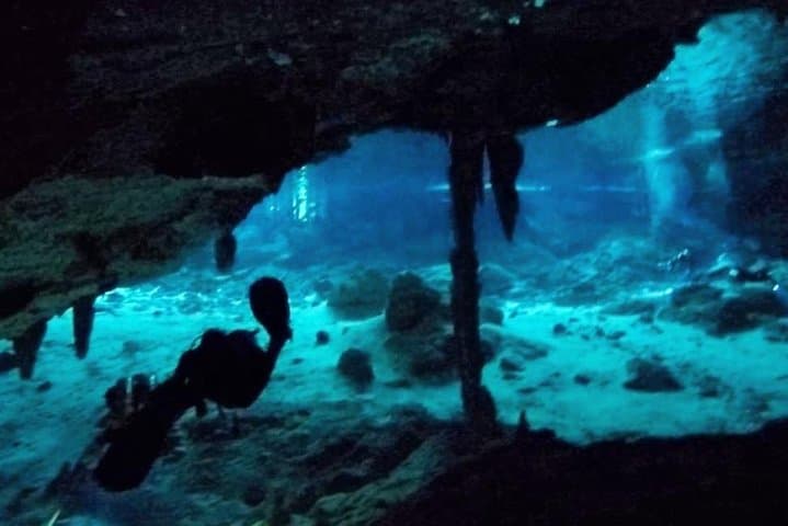 Dos Ojos Cenote Cavern Dive: Barbie Line & Bat Cave — Tulum’s Underwater Cathedral photo 3