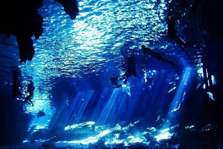 Dos Ojos Cenote Cavern Dive: Barbie Line & Bat Cave — Tulum’s Underwater Cathedral photo 5