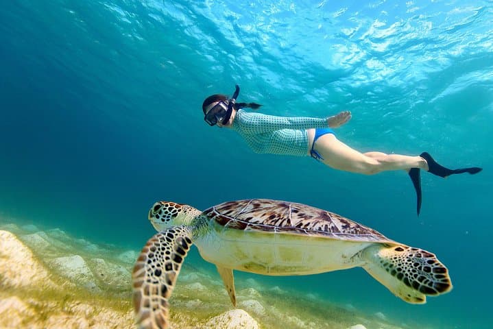 Snorkel-with-sea-turtles-in-san-juan-marine-sanctuary
