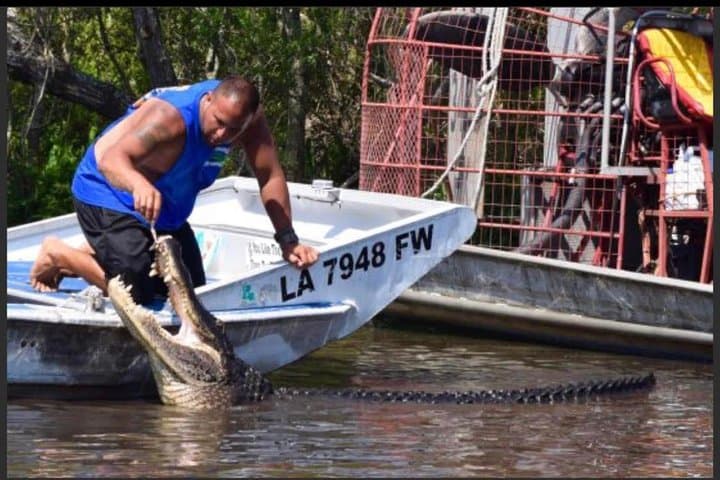 New Orleans Small-Group Airboat Swamp Tour: Marrero Airboat Adventure photo 5