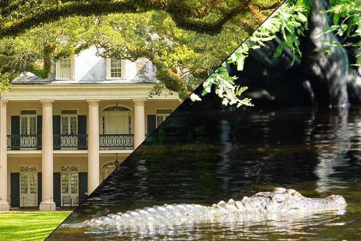 Eco Tour in Maurepas, Louisiana