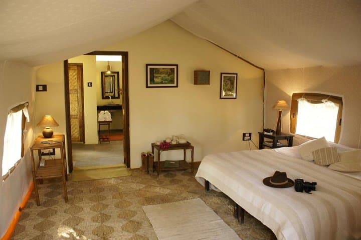 Central India Tiger Safari and Bhimbetka Caves: 12-Day Wildlife Expedition photo 3