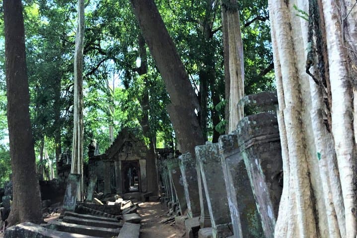 Full-Day Beng Mealea & Koh Ker Temple Exploration from Siem Reap photo 4