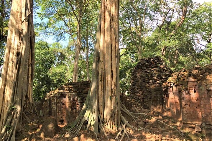 Full-Day Beng Mealea & Koh Ker Temple Exploration from Siem Reap photo 5