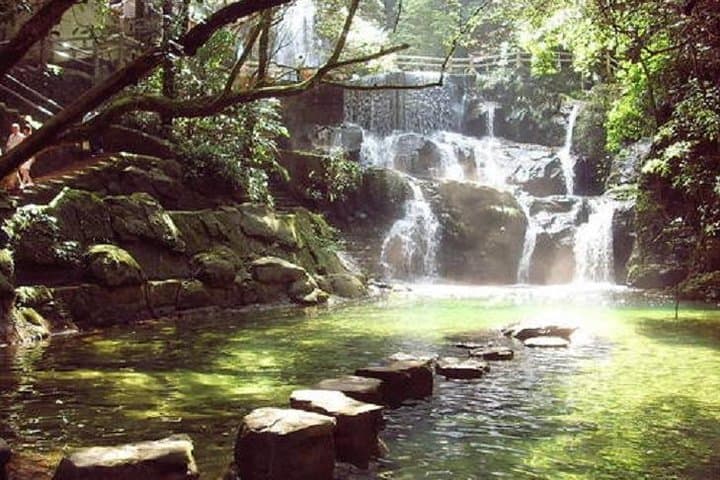 Dinghu Mountain Day Tour — Explore Guangdong’s First National Nature Reserve photo 6