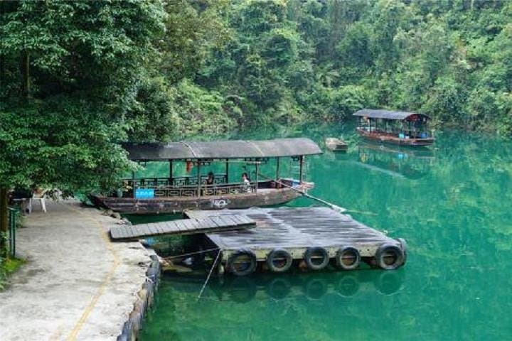 Dinghu Mountain Day Tour — Explore Guangdong’s First National Nature Reserve photo 5
