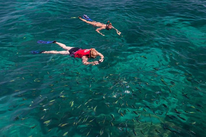 Phi Phi Islands Speedboat Tour: Early-Access Maya Bay, Snorkeling & Bamboo Island Lunch photo 6