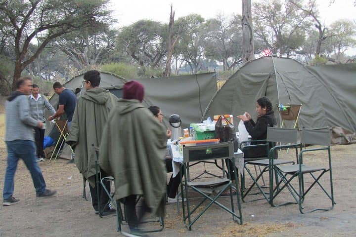 Chobe to Okavango Camping Safari — 6-Day Wildlife & Mokoro Adventure photo 2